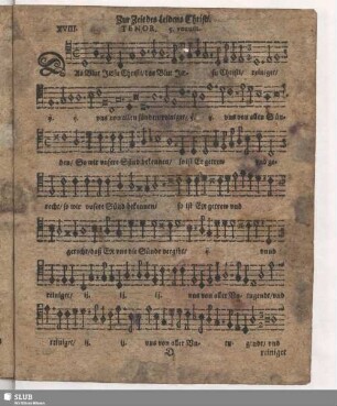 XVIII. Das Blut Jesu Christi