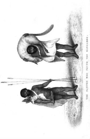 The Natives who found the Kangaroo