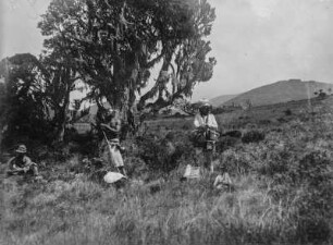Landschaft : Doppelbelichtung der Landschaft im Kilimandscharogebiet. Im Vordergrund stehen mehrere Begleiter der Forschungsreisenden