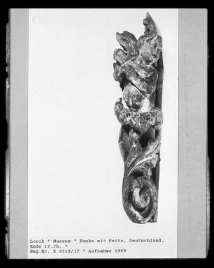 Ranke mit Putto