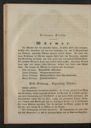 Siebente Klasse. Würmer.