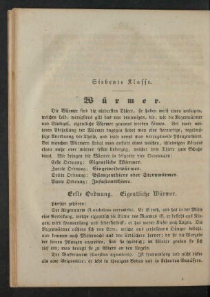 Siebente Klasse. Würmer.