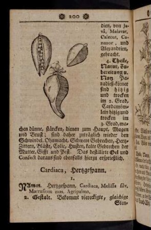200-210, Cardiaca -Carduus sativus