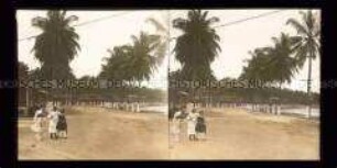Blick in die Palmenallee am Strand von Colon