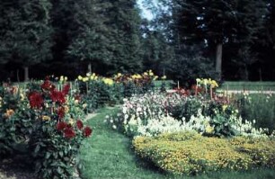 Dresden. Großer Garten. Dahliengarten