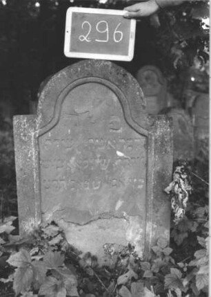 Grabstein 296 (Index: 99894578) Material: Sandstein Zustand: beginnt abzublättern Maße HxBxT: 87x60x10 cm Beschreibung: Stele mit eingezogenem Rundbogenabschluss: Grabstein 296