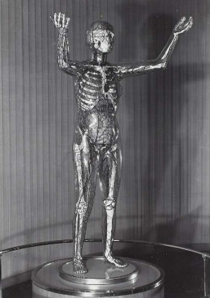 Die Gläserne Frau