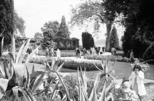 Mainau, Insel Mainau: Vordergrund Agaven, über Rosengarten zum Schloss