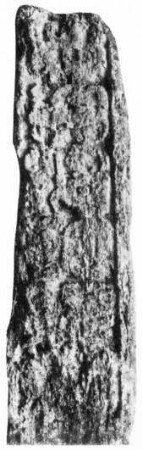 Naachtun, Stela 17 (NCT: St. 17)