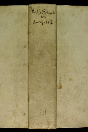 Ratsprotokolle, 1755 Juli 25. - 1756 Juli 22.