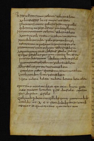 Notae grammaticae