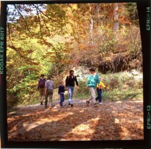 Herbstwanderung