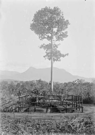 "Friedhof im Luengeratal"