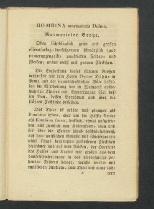 BOMBINA marmorata Dehne