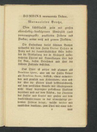 BOMBINA marmorata Dehne