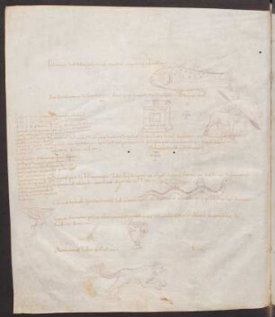 Federzeichnungen Sternbilder: Piscis magnus, Ara, Centaurus, Hydra, Corvus, Crater, Anticanis