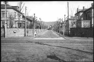 Serkowitz. Albertstraße