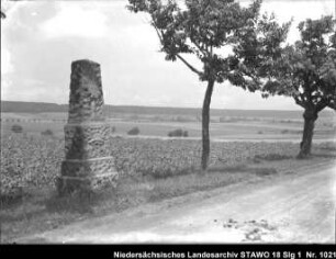 Lutter am Barenberge Enthält: Gedenkstein für General Fuchs