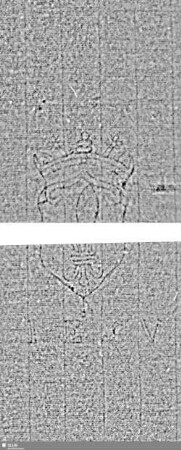 Lilienschild + IESV / LW = S.49/50+53/54