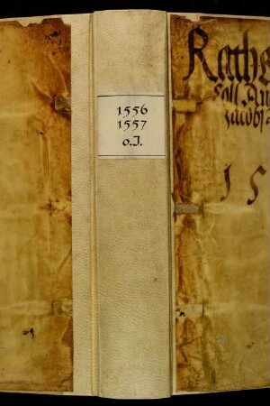 Ratsprotokolle, 1556 Juli 21. - 1557 Aug. 15.