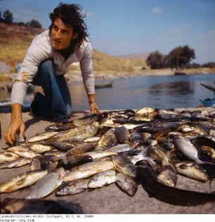 Israel: Fischfang See Genezareth