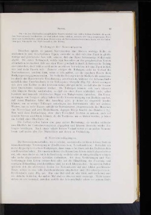 Teilungen der Nervenfasern.
