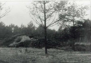 Waldfriedhof Kupferberg. Ist-Zustand des Geländes, 3 Bilder