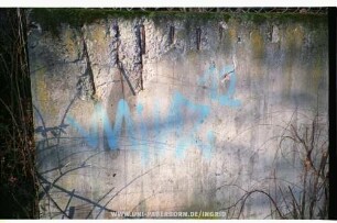 MiLZ 12