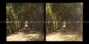 Eichendorffs Buchenallee, Lubowitz