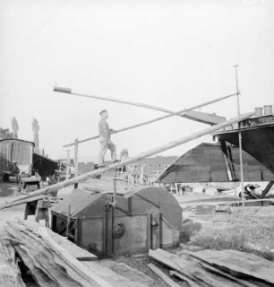 Niedermuschütz, Schiffswerft an der Elbe