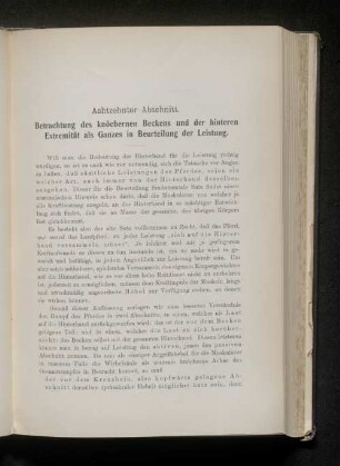Achtzehnter Abschnitt. Betrachtung des knöchernen Beckens und der hinteren Extremität als Ganzes in Beurteilung der Leistung.
