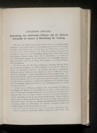 Achtzehnter Abschnitt. Betrachtung des knöchernen Beckens und der hinteren Extremität als Ganzes in Beurteilung der Leistung.