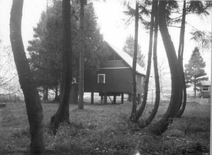 Hütte (Pfahlhaus) : Hütte (Pfahlhaus) im Wald bei Grimma