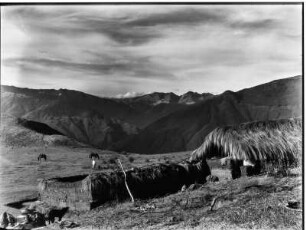 Waldgürtel bei Sailapata und der Cordillera von Copacabana : Berglandschaft mit mit Hütte