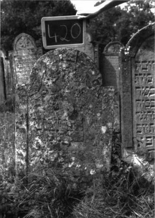 Grabstein 420 (Index: 100102782) Material: Sandstein Zustand: stark verwittert, abgeblättert, weitgehender Textverlust Maße HxBxT: 102x58x8 cm Beschreibung: Stele, eingezogener Rundbogenabschluss, Schriftfeld eingetieft mit Konvexbogenabschluss: Grabstein 420