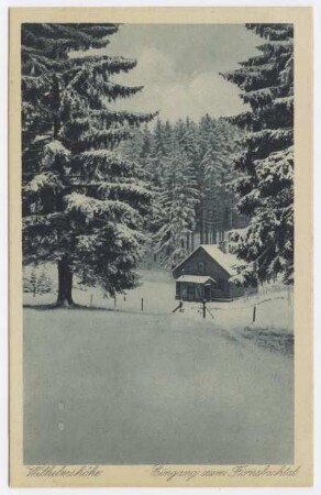 Kassel Habichtswald
