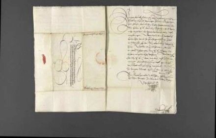 Danksagungen Herzog Wilhelms V. von Bayern für die zugeschickten Neckarweine, mit der Rücksendung von Salzlieferungen.