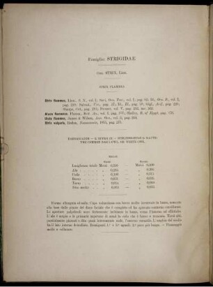 Famiglia: Strigidae.