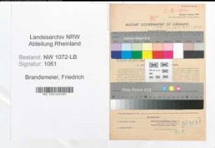 Entnazifizierung Friedrich Brandsmeier , geb. 07.01.1895 (Landwirt)