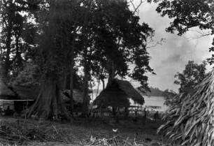 Hütten (Deutsche Indien-Expedition 1926/1929 - 4. Andamanen)