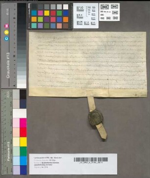Lehnbrief in betref der Schwarzmans Hove oder Schwarten Erbe [Kirchspiel St. Mauritz vor Münster].