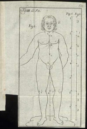 Tab IV. ad §. 11.