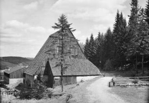 Vereinigt Feld im Zwitterstock : Altenberg (Erzgebirge). "Vereinigt Feld im Zwitterstock", ehemalige Schmelzhütte