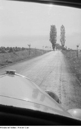 Blick durch die Frontscheibe eines Autos auf eine Landstraße