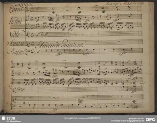 Rinaldo. Excerpts - Mus.1-F-82,16-10 : S, orch, bc