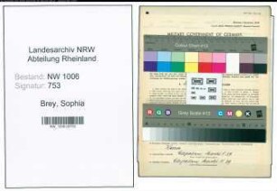 Entnazifizierung Sophia Brey , geb. 05.10.1873 (Haendlerin)