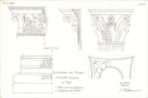 Eckert, Georg; München; Studienarbeiten - Tempel des Apollo Didyma zu Milet (Schnitt, Details)