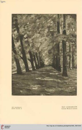 Heft 19 (1. Juli 1907)