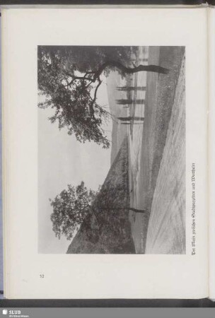 Der Main zwischen Stadtprozelten und Wertheim