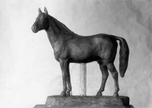 Netell von Axtell aus der Nemea (Traberhengst) : Netell von Axtell aus der Nemea (Traberhengst). Bronze; 42 x 36 cm (1913; E. Richter)